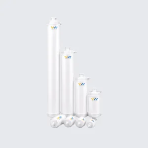 Capsule filters